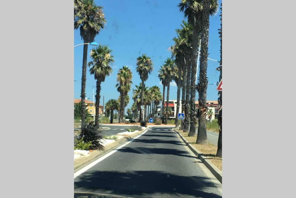Les Terrasses Du Port Daire Canet-en-Roussillon Dış mekan fotoğraf